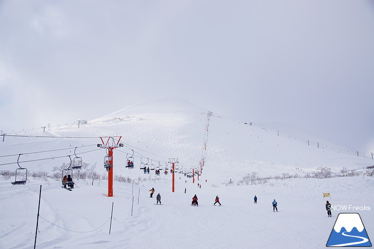 ニセコマウンテンリゾート グラン・ヒラフ　粉雪と千歳ワイナリーの美味しいワインに酔う♪